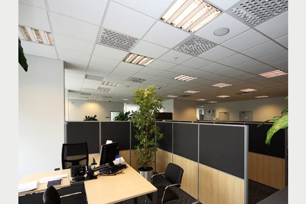 "TNK-BP". Standard floor. Working area.